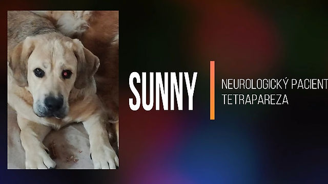 SUNNY - Neurologický pacient